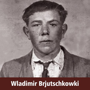 Wladimir Jakowlewitsch Brjutschkowki